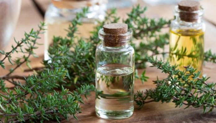 بخصائص-متفردة.-تعرف-فوائد-زيت-الزعتر-للشعر