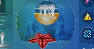 anasaudia.com-2025-08-30_07-36-33_984230
