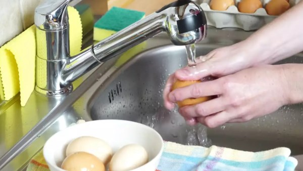 هل غسل البيض قبل وضعه في الثلاجة يحميك أم يضرك — خبير يكشف الحقيقة
