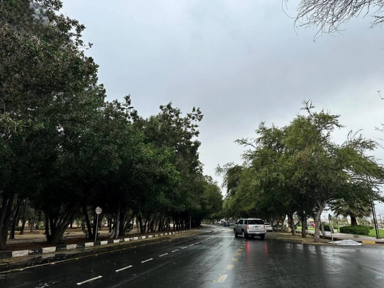 «الأرصاد»: أمطار غزيرة في منطقة نجران