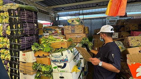 “بيئة مكة” تُطمئن المستهلكين: منتجات سوق الخضار المركزي بجدة تخضع لرقابة مكثفة “بيئة مكة” تُطمئن المستهلكين: منتجات سوق الخضار المركزي بجدة تخضع لرقابة مكثفة