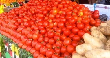 مضادة للأكسدة وغنية بالفيتامينات.. اكتشفي فوائد الطماطم وطرق اختيارها مضادة للأكسدة وغنية بالفيتامينات.. اكتشفي فوائد الطماطم وطرق اختيارها