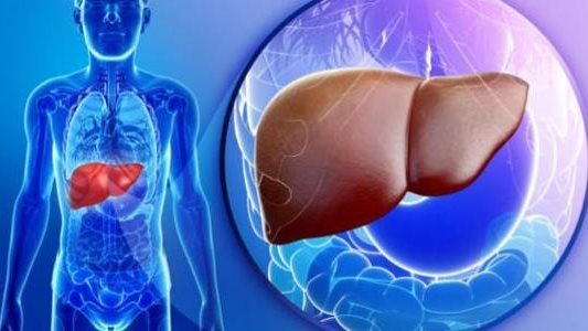 طعمها حلو ونحبّه؛ ثلاثة مشروبات تُطهّر الكبد من السموم والمواد الضارة 