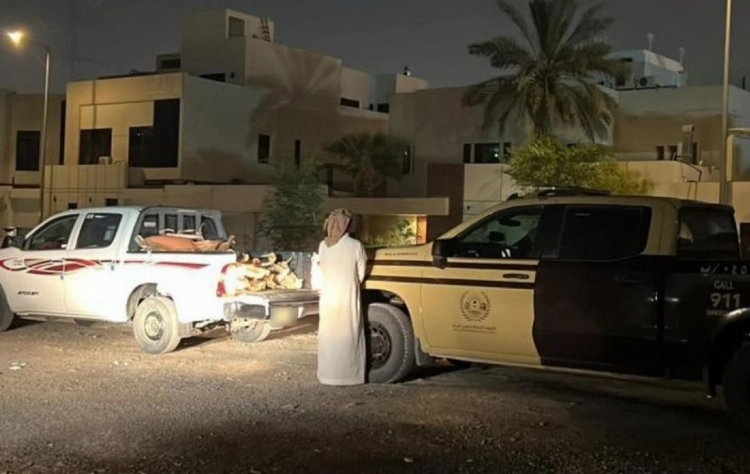 الأمن البيئي يضبط مواطناً مخالفاً لنقل حطباً محلياً في الرياض الأمن البيئي يضبط مواطناً مخالفاً لنقل حطباً محلياً في الرياض